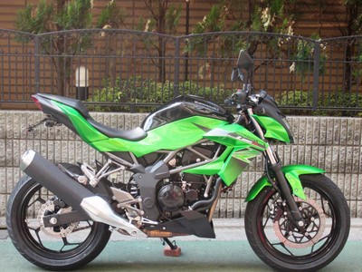 NINJA250 フェンダーレスキット】